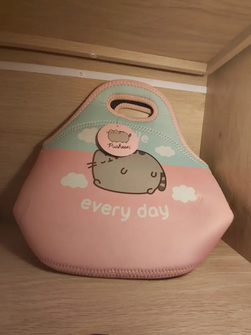 Lonchera Pusheen rosado y celeste