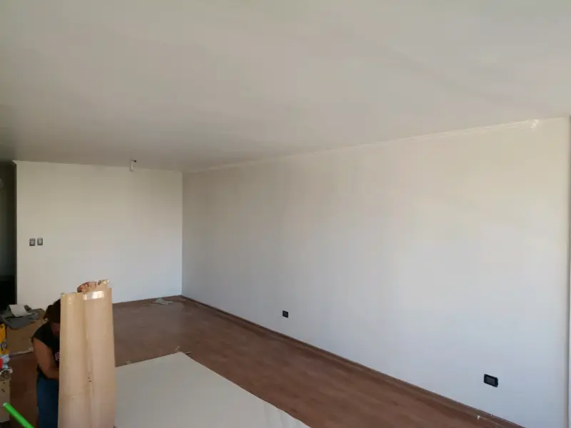 Se hacen instalación de papel mural y pintura - 2