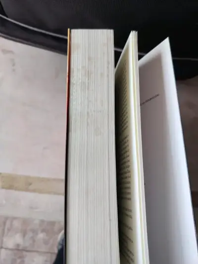 Libro 'La Diferencia' de Jean-Francois Lyotard - miniatura 4