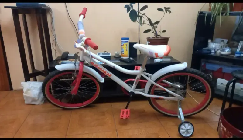 Bicicleta infantil Avalanche con ruedas de apoyo