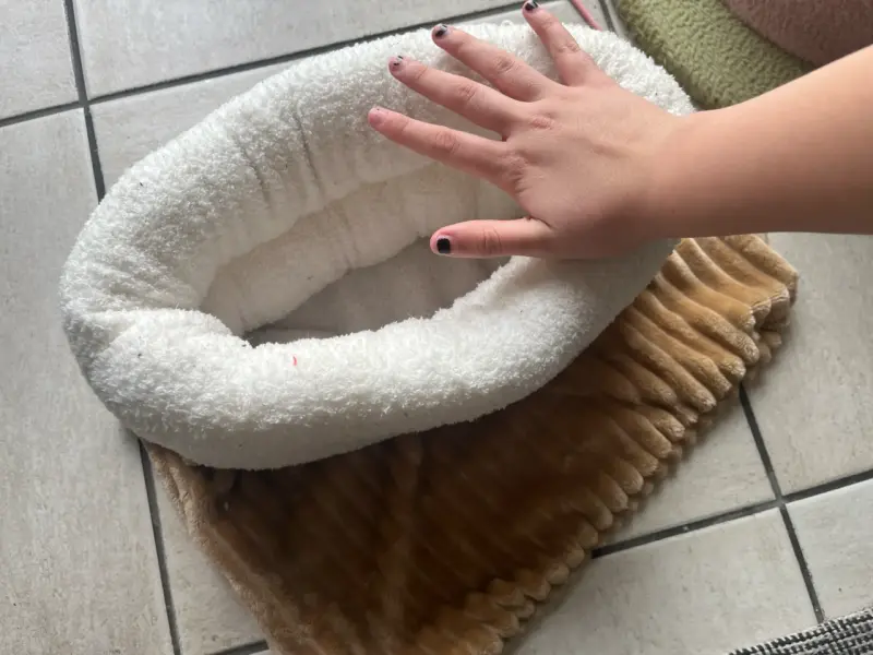 Cama/saco para mascotas Lucky beige y blanca - 4