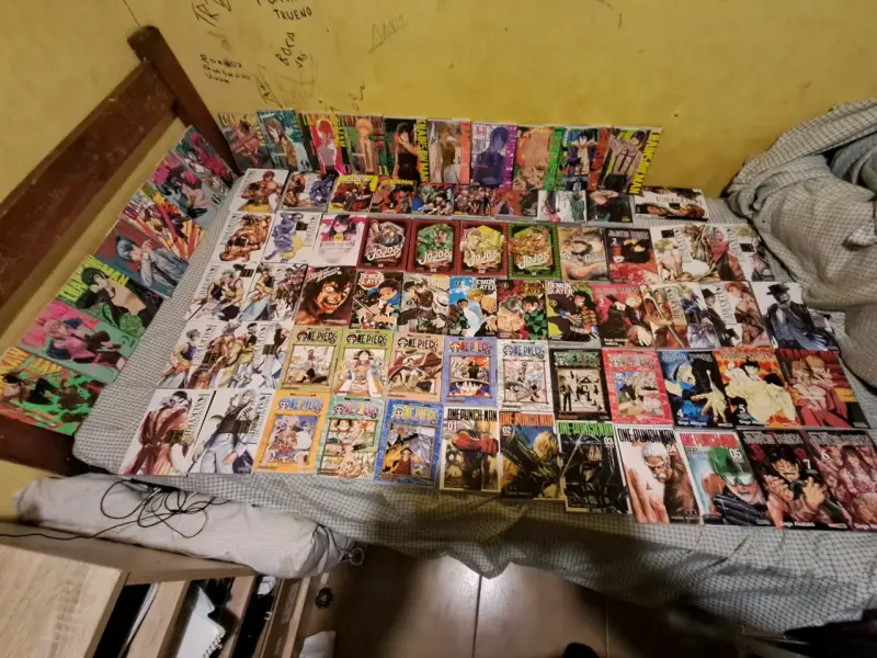 Colección de mangas variados en buen estado - 1