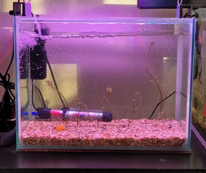 Acuario de vidrio con filtro y calentador - 1