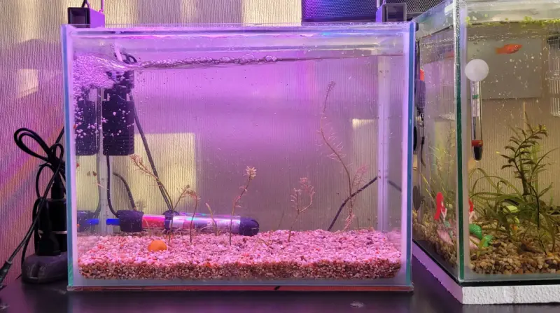 Acuario de vidrio con filtro y calentador - 2