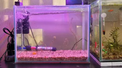 Acuario de vidrio con filtro y calentador - miniatura 2