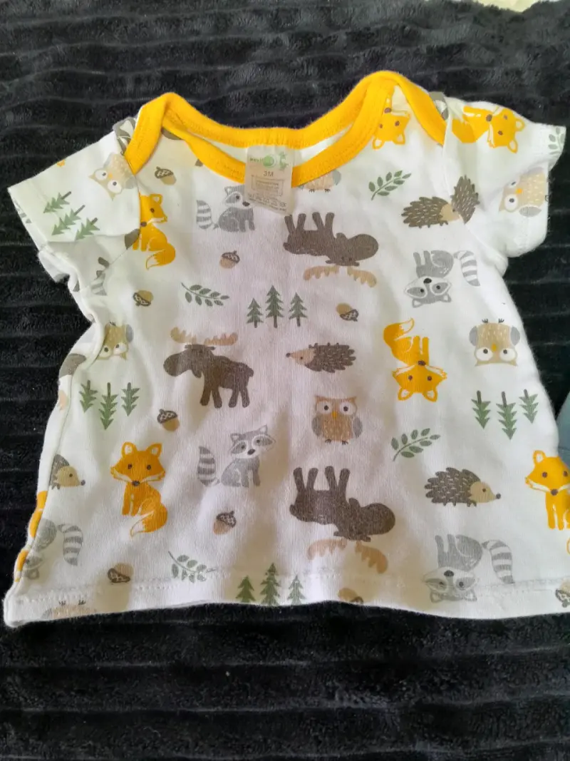 Conjunto de poleras para niño con diseños variados - 5