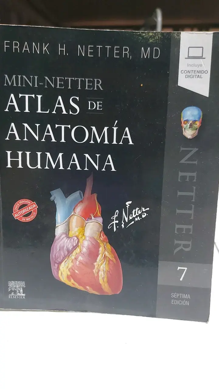 Mini-Netter Atlas de Anatomía Humana Séptima Edición - 1