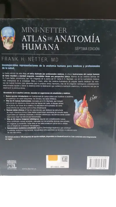Mini-Netter Atlas de Anatomía Humana Séptima Edición - miniatura 2