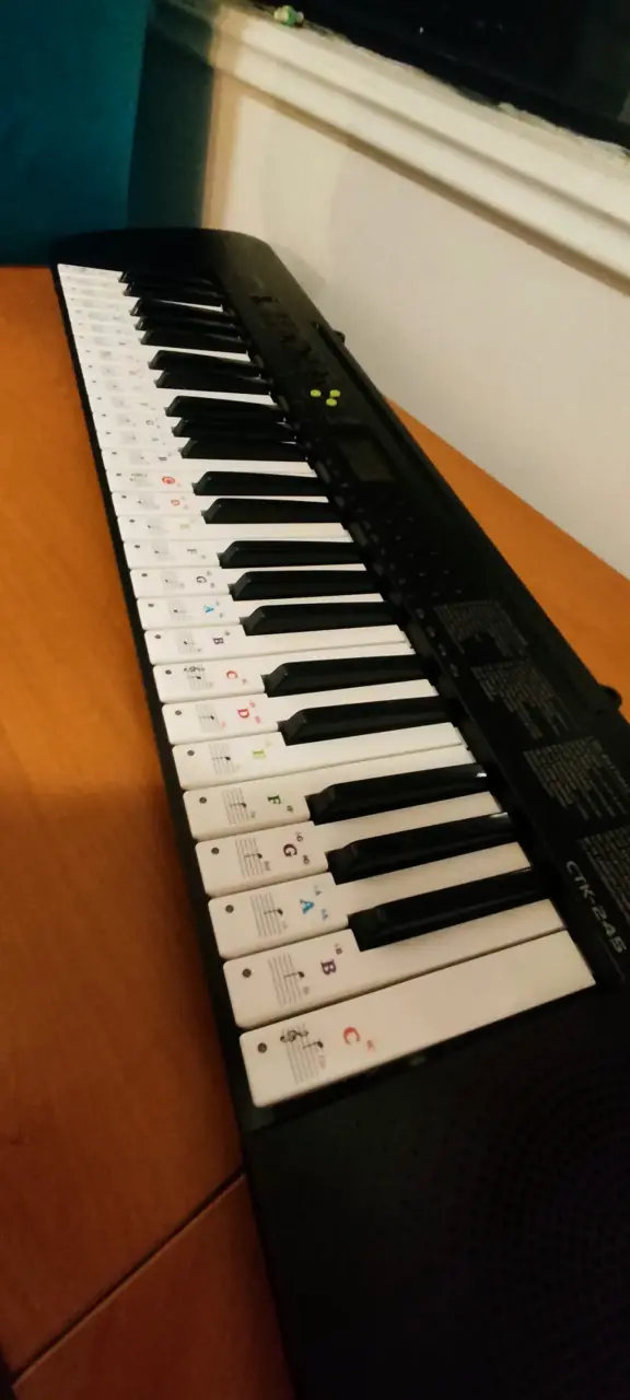 Teclado Casio CTK-245 con Notas Musicales - 1