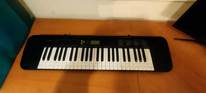 Teclado Casio CTK-245 con Notas Musicales - 2