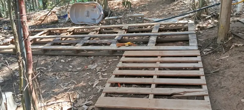Limpieza de sitio. - 2