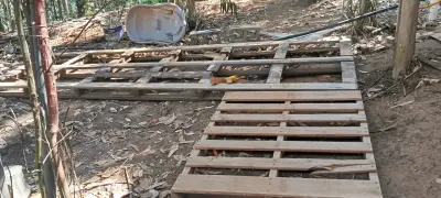 Limpieza de sitio. - miniatura 2