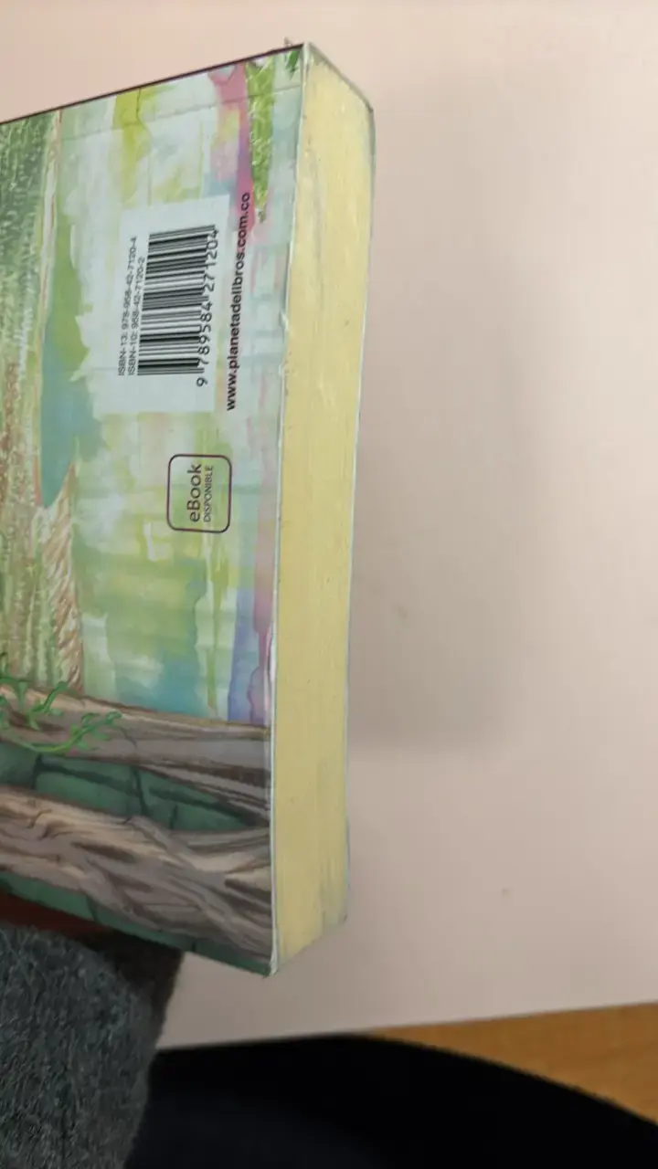 Libro Mila Scott: El Despertar del Fuego - 4