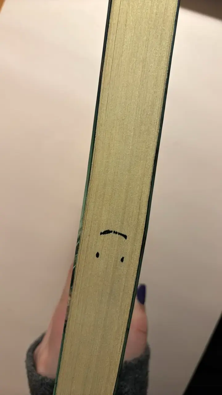Libro Mila Scott: El Despertar del Fuego - 5