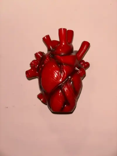 Decoración/florerito de corazon anatómico alt - miniatura 1