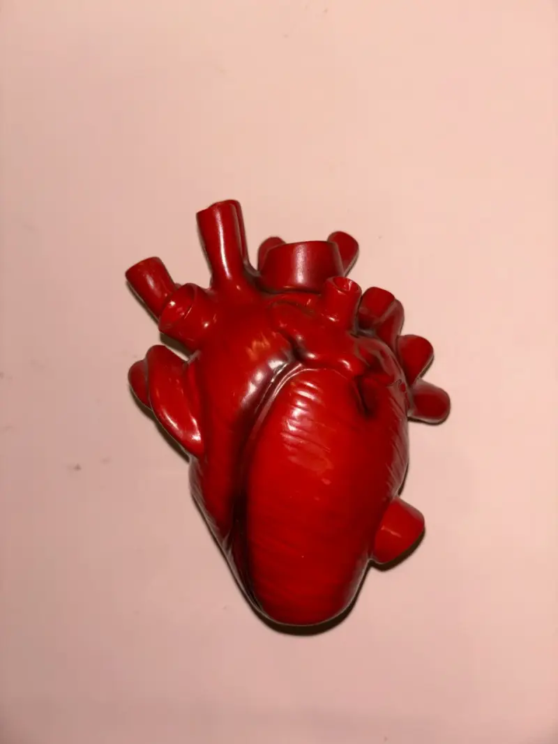 Decoración/florerito de corazon anatómico alt - 3