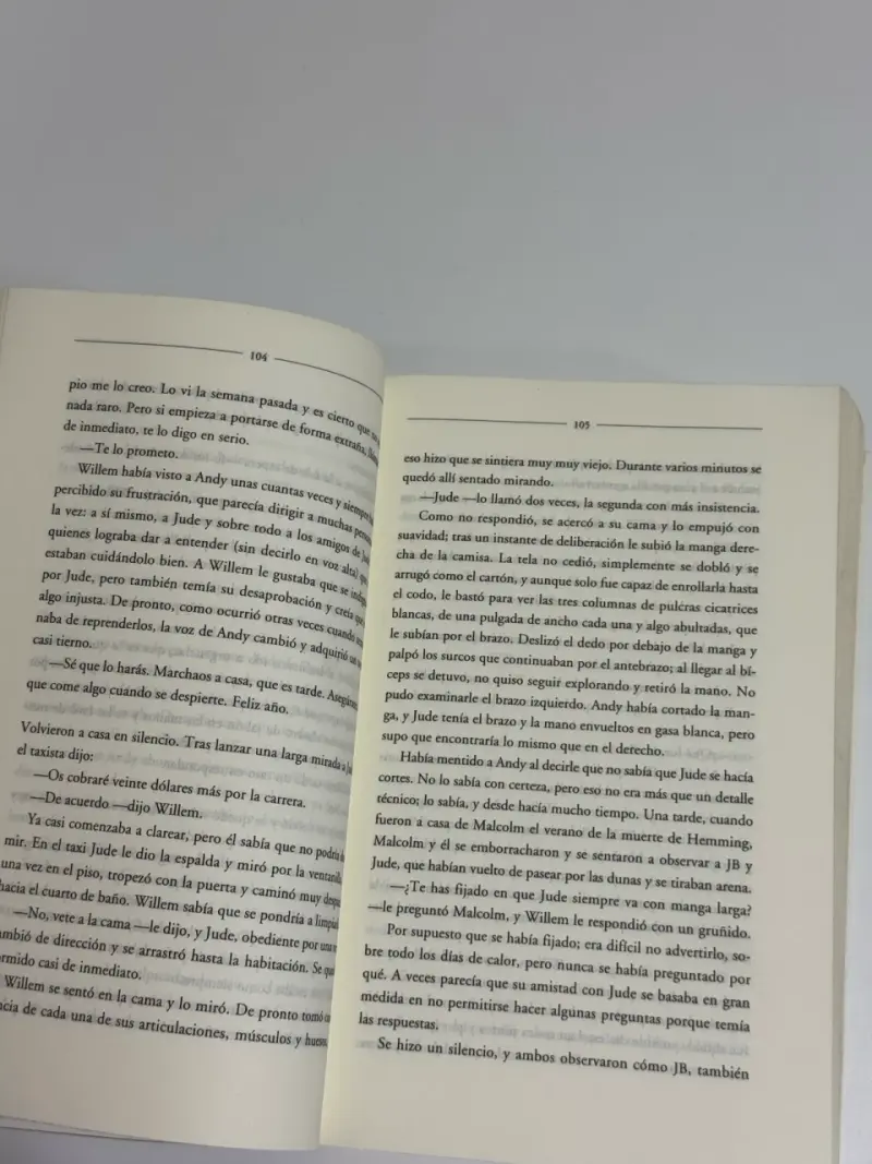 Libro 'Tan Poca Vida' de Hanya Yanagihara - 4