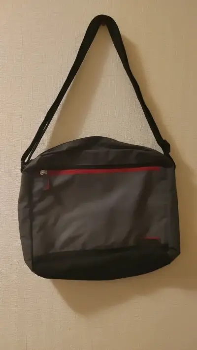 Bolso bandolera gris con interior rojo - miniatura 1