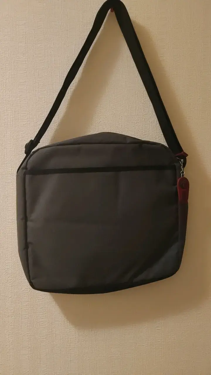 Bolso bandolera gris con interior rojo - 2
