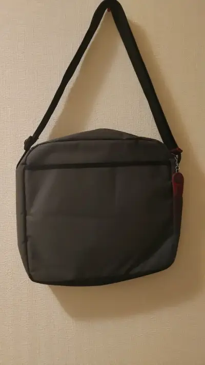 Bolso bandolera gris con interior rojo - miniatura 2