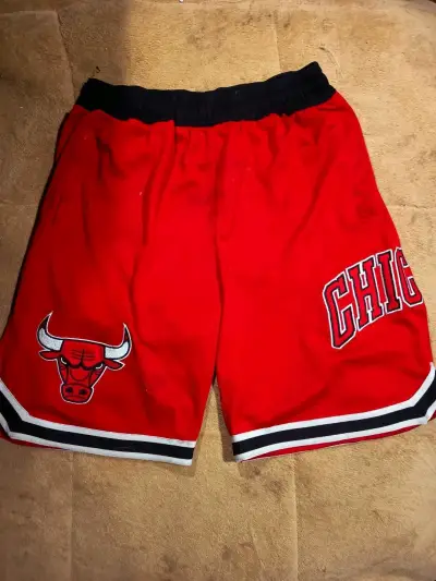 SHORTS JORDAN CHICAGO BULLS - miniatura 1