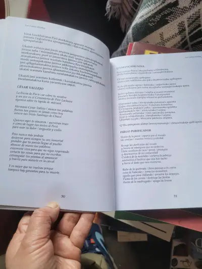 Libro de poesía latinoamericana LOM Ediciones - miniatura 3