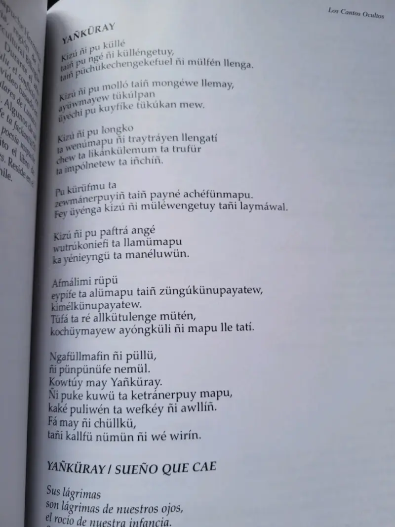 Libro de poesía latinoamericana LOM Ediciones - 5
