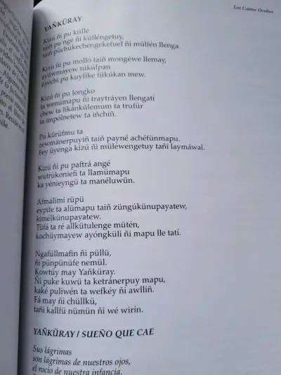 Libro de poesía latinoamericana LOM Ediciones - miniatura 5