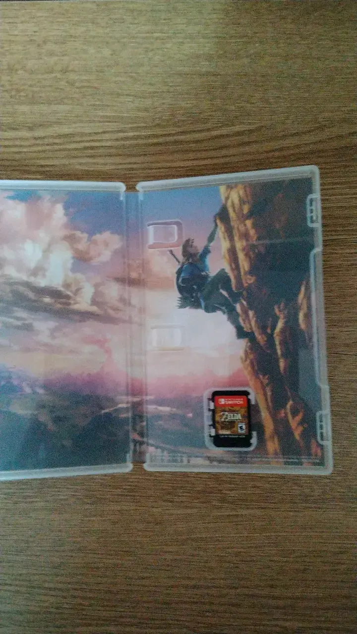Zelda breath of the wild - 3