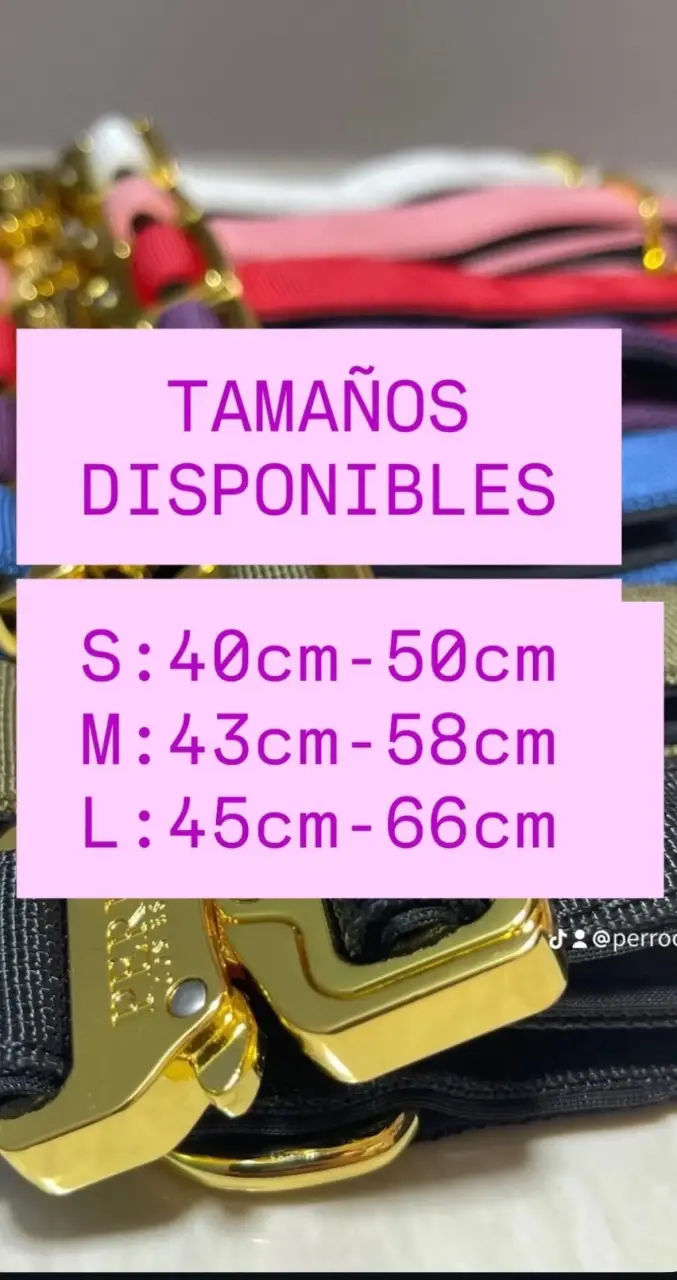 Collares para perro ajustables en varios colores - 2