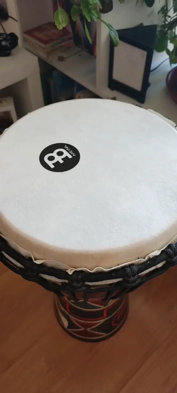 Djembe Meinl 10" Madera de Caoba - Parche NUEVO - 2