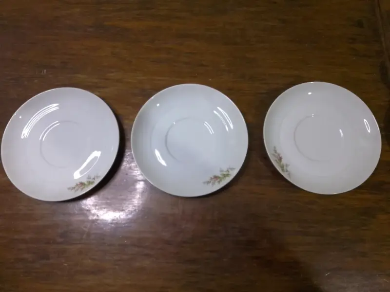 Platos de porcelana con diseño floral - 2