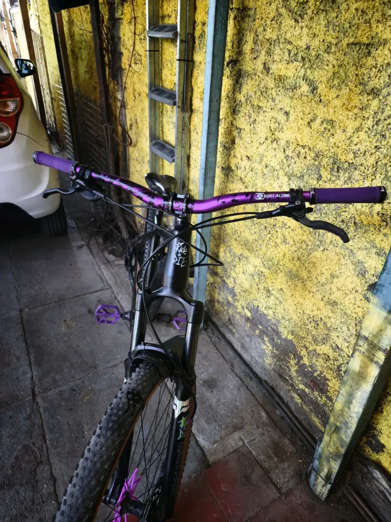 GT avalanche expert aro 29 - 4