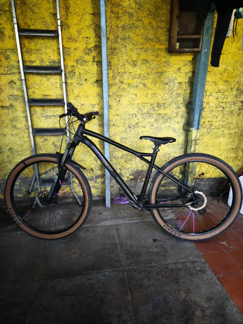 GT avalanche expert aro 29 - 5