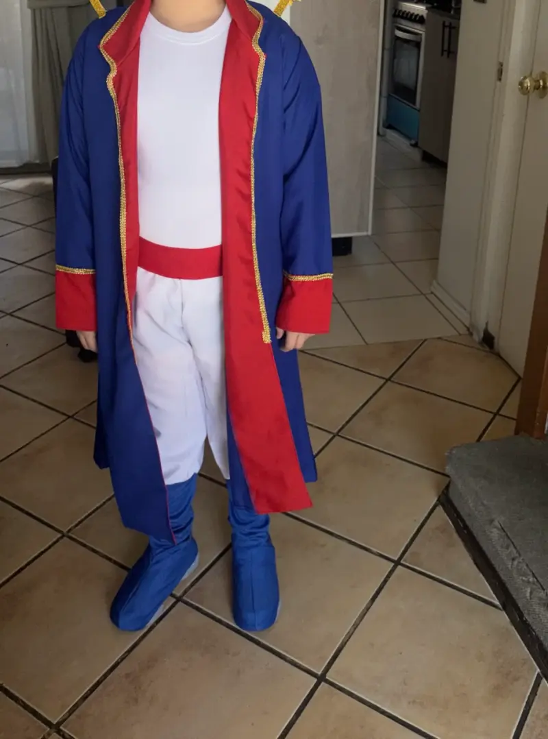 Disfraz Principito  infantil T12/14