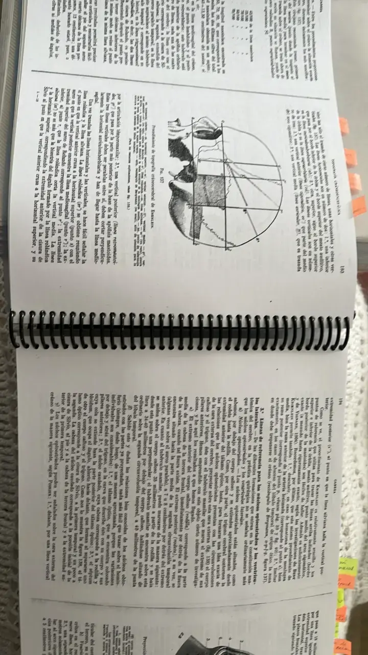 Fotocopia Anatomía Topográfica de L. Testut - 3