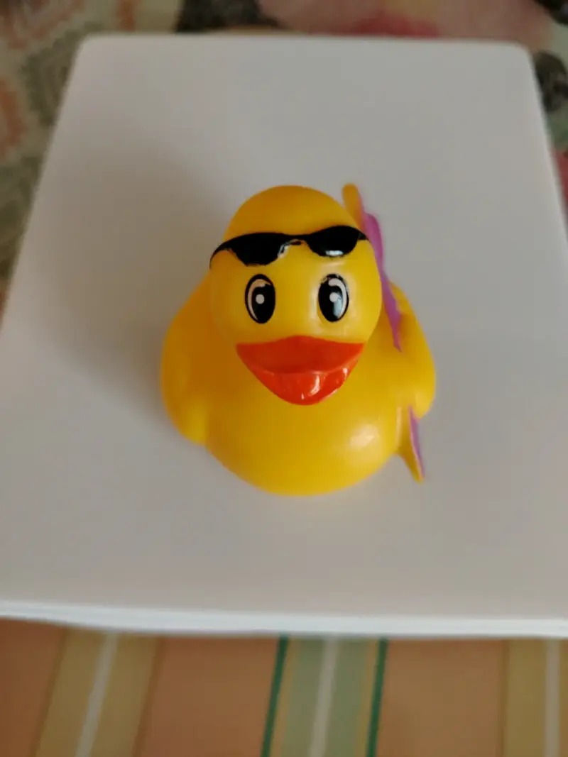 Patitos coleccionables Ale-hop - 1