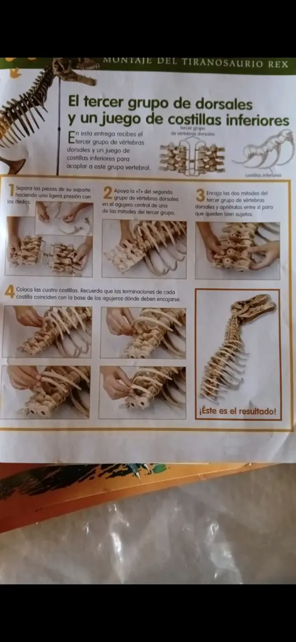 Tiranosaurio Rex para Armar 1,20 metros - 2