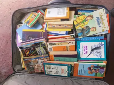 LIbros variados en maleta - miniatura 1