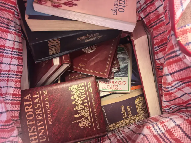 LIbros variados en maleta - 2