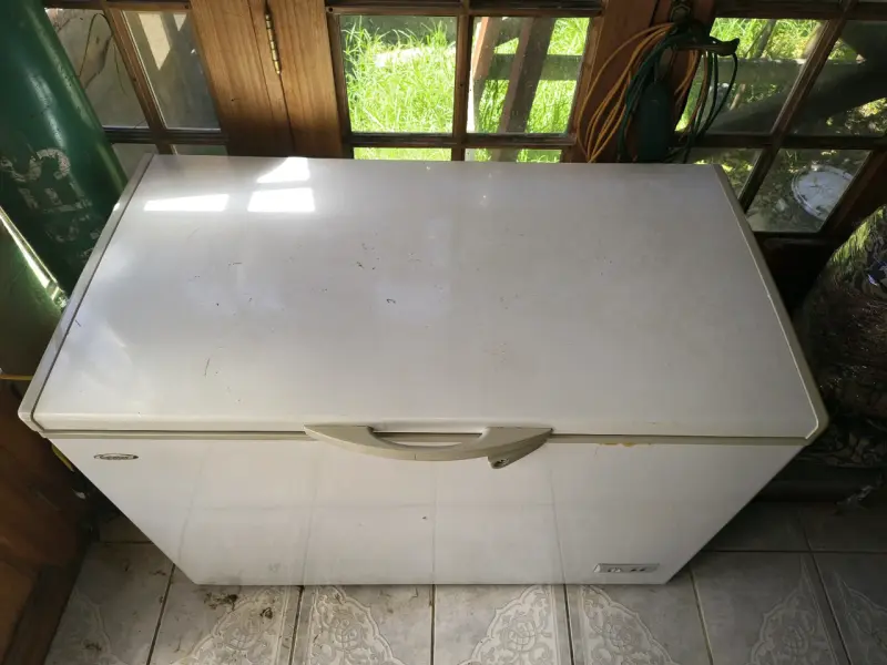 Conservadora Marca Gelator 300L - 2