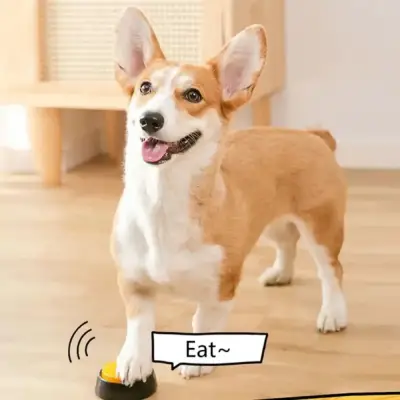 Botón interactivo para perros con sonido - miniatura 2