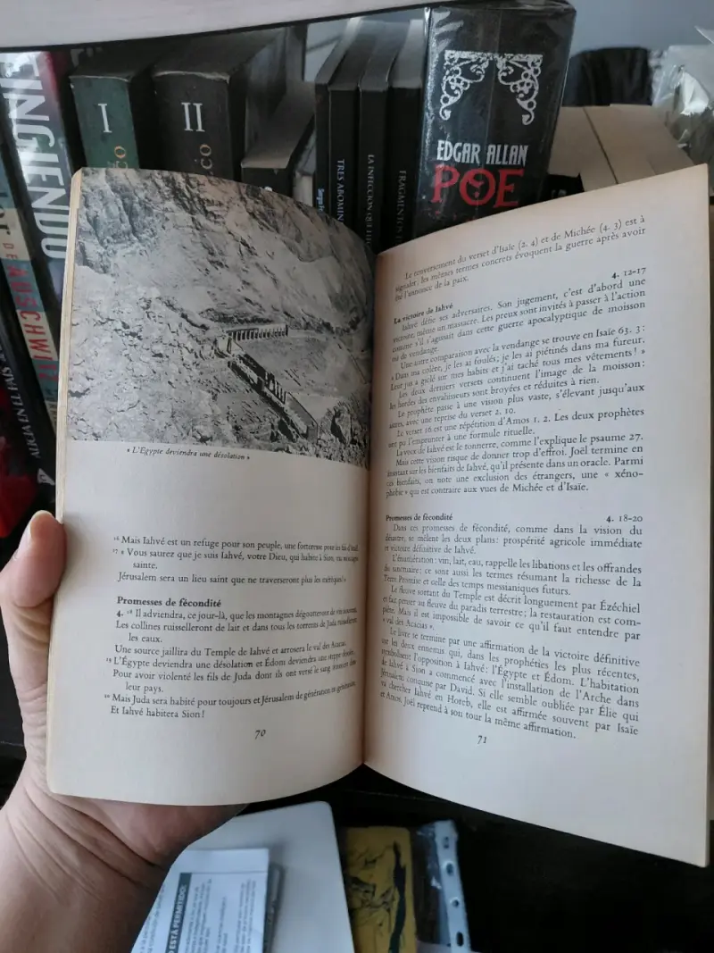 Libro Michée Sophonie Joël Nahoum Habaqquq - 2