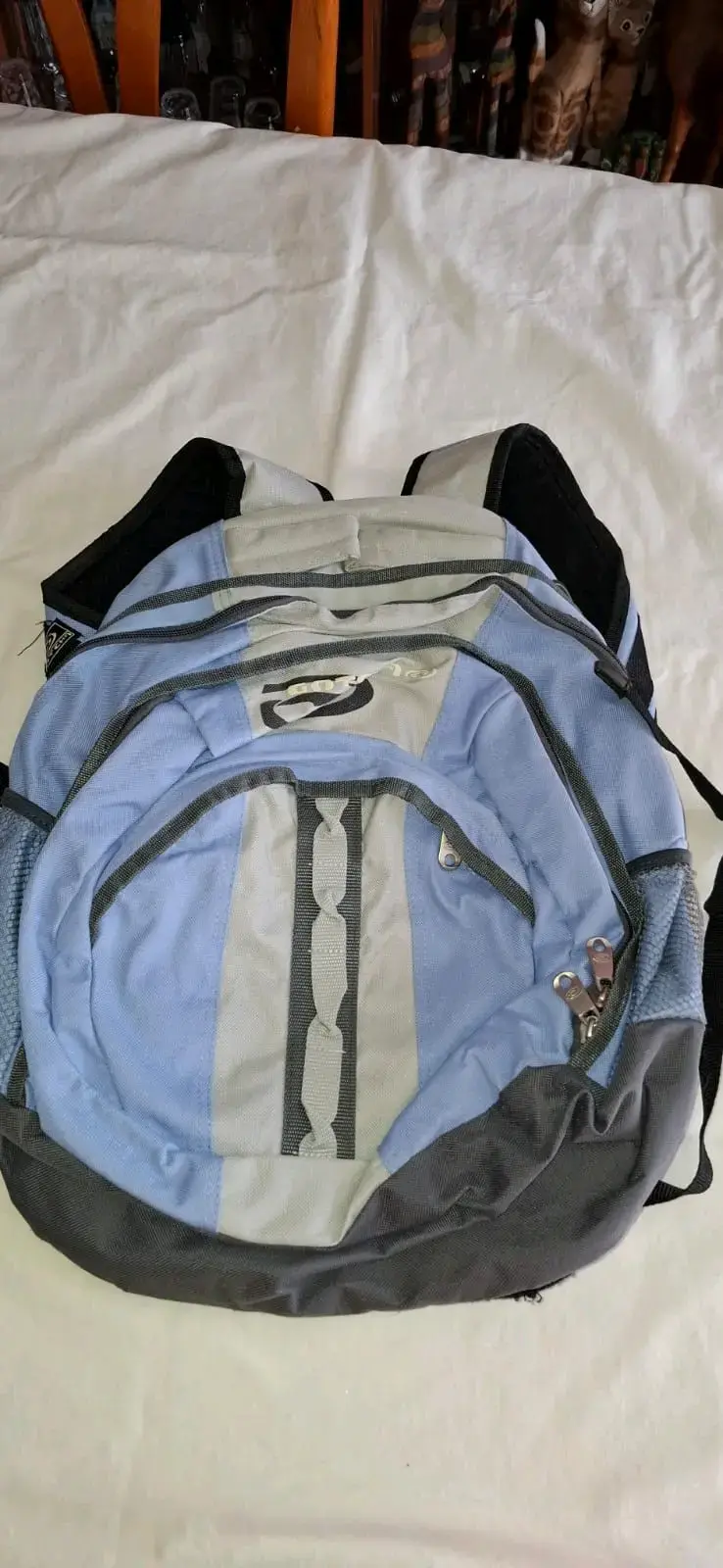 Mochila escolar azul con múltiples compartimentos - 1