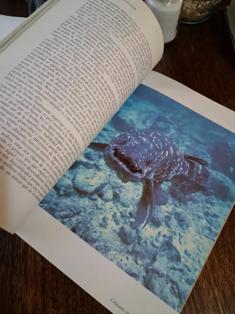 Libro 'La Vida en la Tierra' de David Attenborough - 4