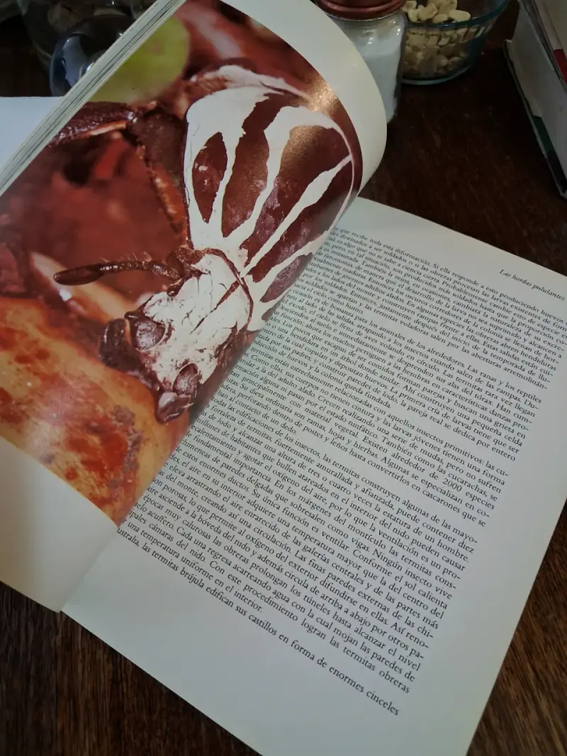 Libro 'La Vida en la Tierra' de David Attenborough - 5