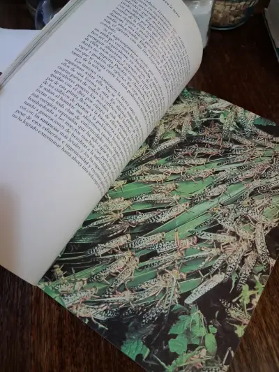 Libro 'La Vida en la Tierra' de David Attenborough - miniatura 6