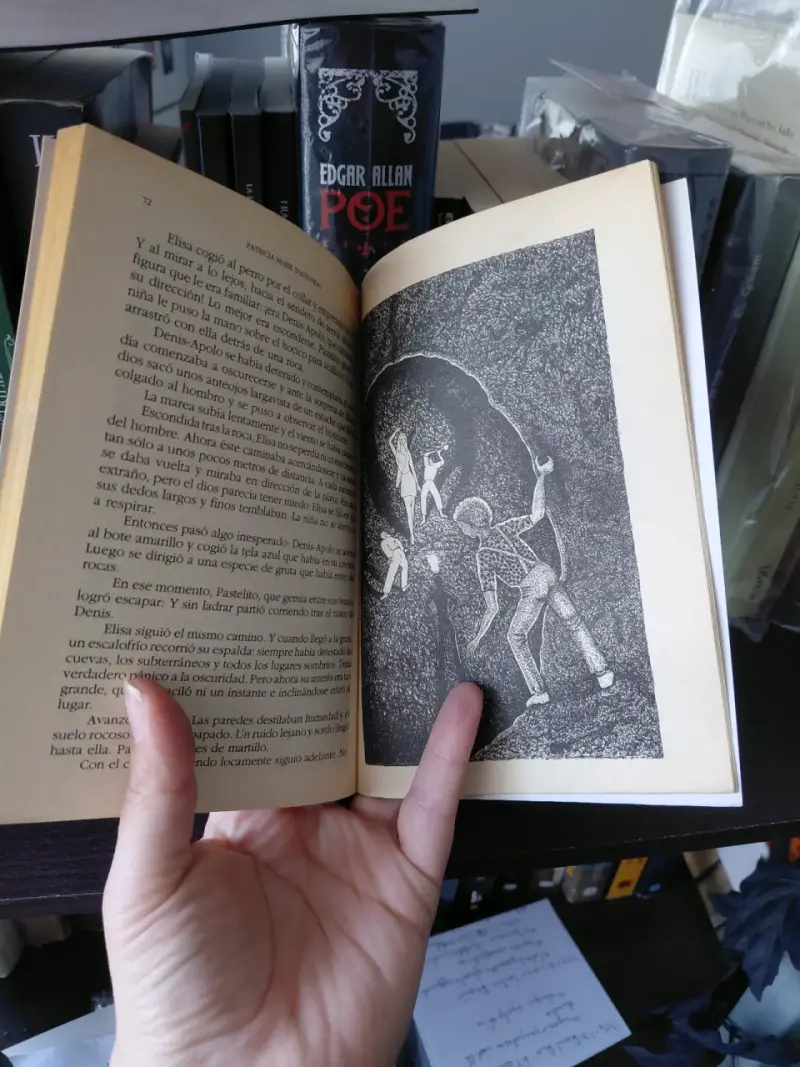 Libro Zimbalá de Patricia Marie D'Aigneau - 2