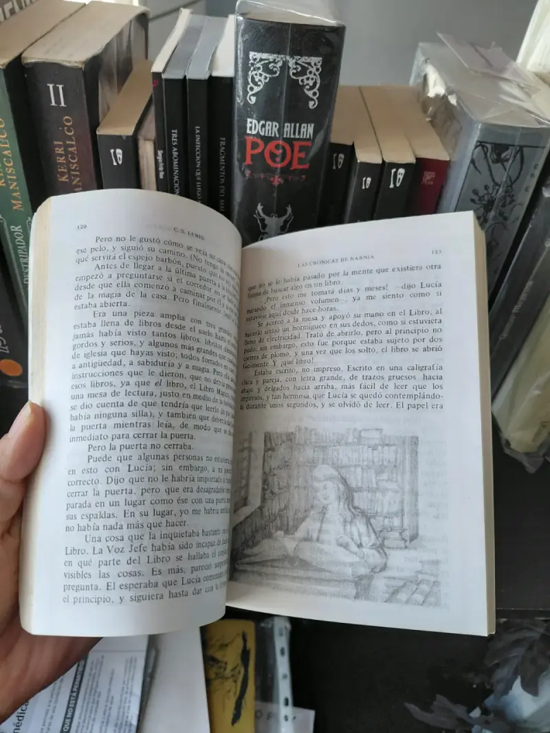 Libro Las Crónicas de Narnia: La Travesía del Explorador del Amanecer - 2