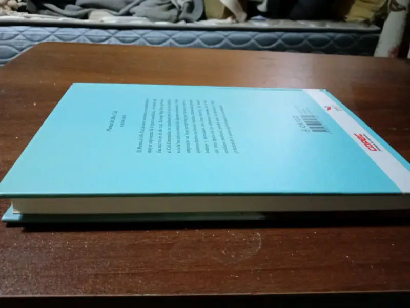 Libro Poema de Mio Cid Edición Origo - 4